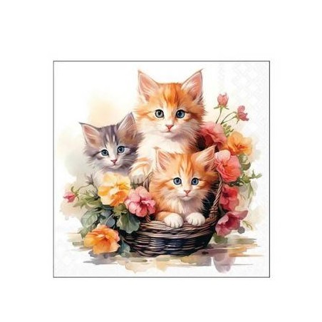 TOVAGLIOLI 25x25 GATTINI NEL CESTINO 20pz