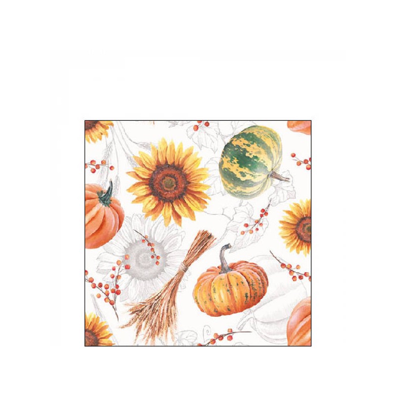 TOVAGLIOLI 25x25 ZUCCHE E GIRASOLI 20pz