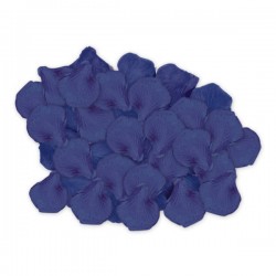 PETALI BUSTA 144pz BLU