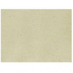TOVAGLIETTE 30x40cm C.PAGLIA CHAMPAGNE 500pz SB2