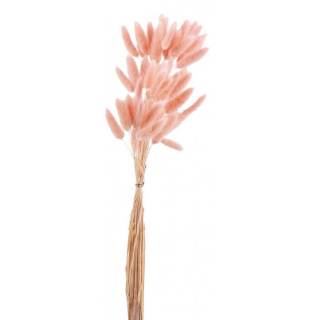 PICKS CODA DI LEPRE PESCA H.65cm