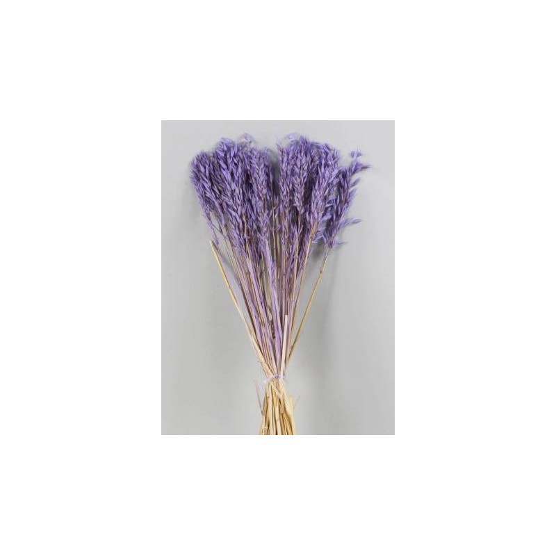 AVENA LILLA IN BUSTA 100gr