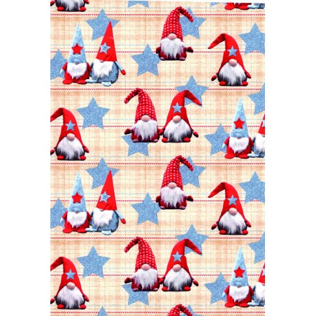 CARTA REGALO RASO CHRISTMAS 70x100 10 FOGLI COL.456B GNOMI