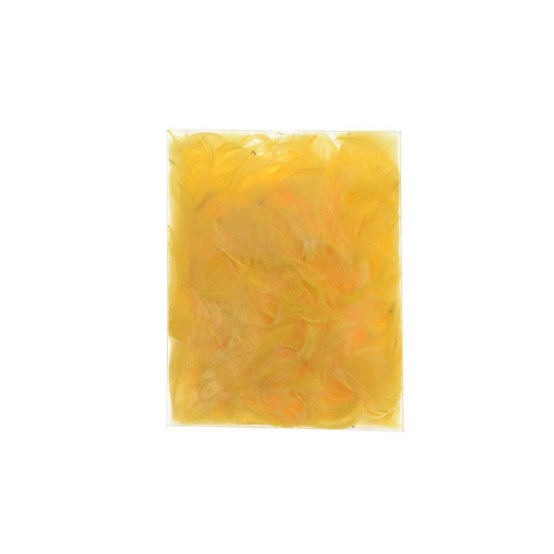 BUSTA PIUME GIALLE 5gr