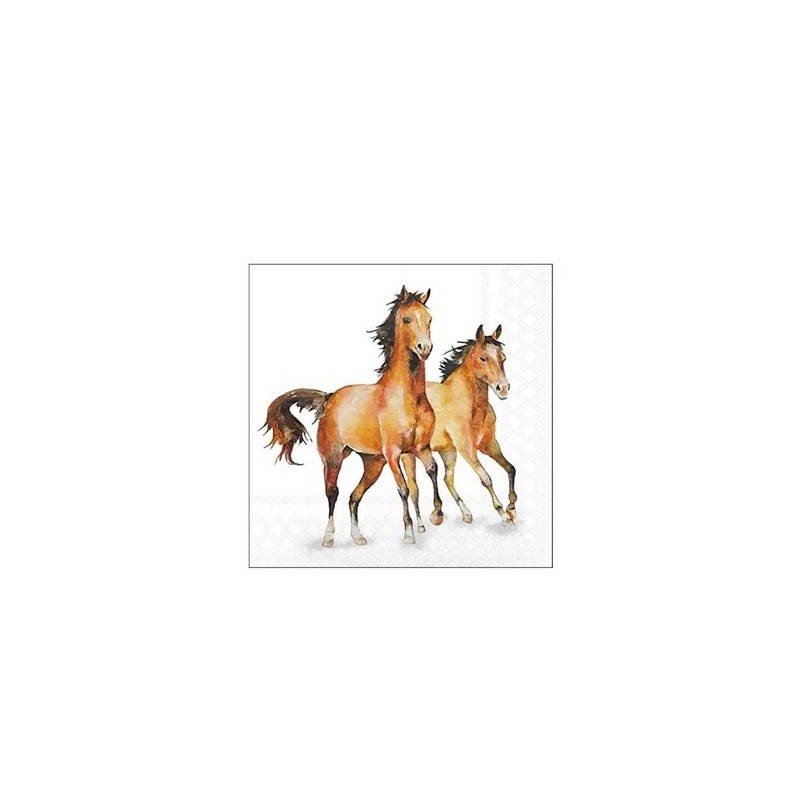 TOVAGLIOLI 25x25 WILD HORSES 20pz