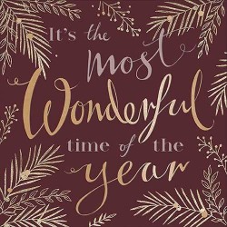 TOVAGLIOLI 33x33 WONDERFUL TIME BERRY 20pz