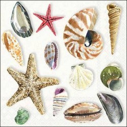 TOVAGLIOLI 33X33 CONCHIGLIE 20pz