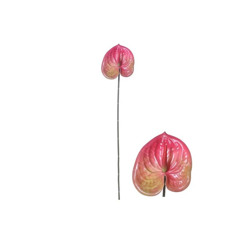 STELO ANTHURIUM ROSA 58cm