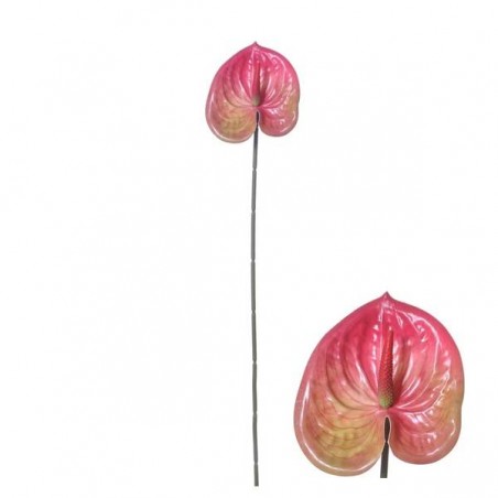 STELO ANTHURIUM ROSA 58cm