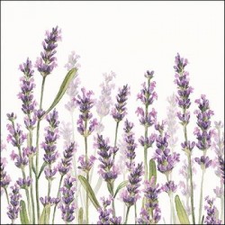 TOVAGLIOLI 33x33 LAVANDA SHADES BIANCO 20pz
