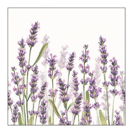 TOVAGLIOLI 33x33 LAVANDA SHADES BIANCO 20pz