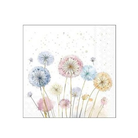 TOVAGLIOLI 25X25 DENTE DI LEONE 20pz