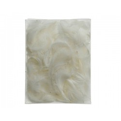 BUSTA PIUME BIANCHE 5gr