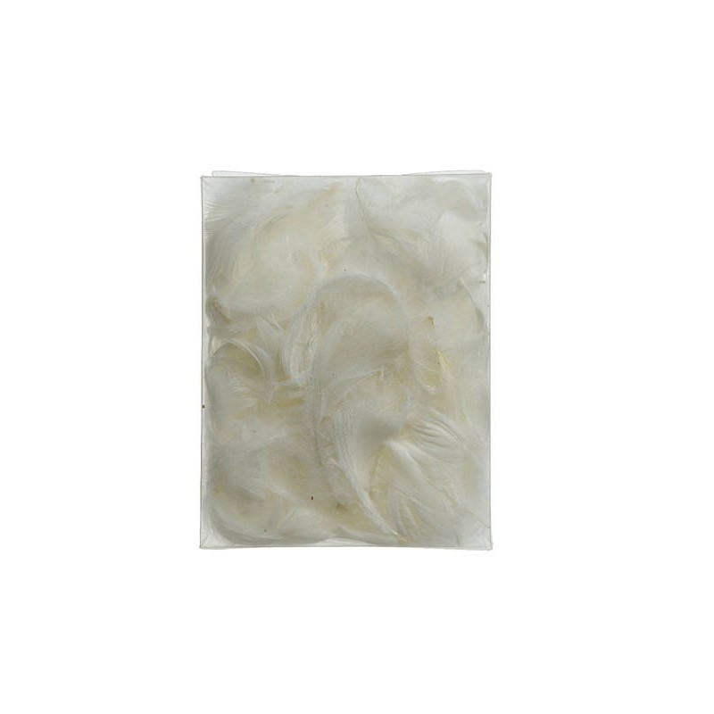 BUSTA PIUME BIANCHE 5gr