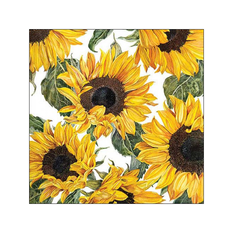 TOVAGLIOLI 33x33 SUNFLOWERS BLOSSOMING 20pz