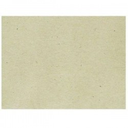 TOVAGLIETTE 30x40cm C.PAGLIA CHAMPAGNE 500pz SB2