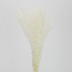 GYPSOPHILA SBIANCATA 110gr 80cm