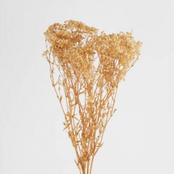 GYPSOPHILA NATURALE 110gr 80cm