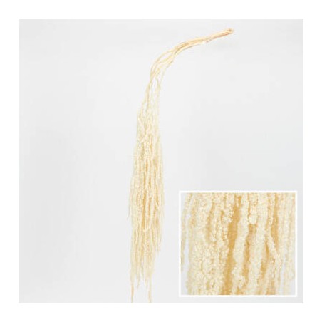 MAZZO AMARANTHA IMBUSTATO 60/100cm BIANCO 5pz