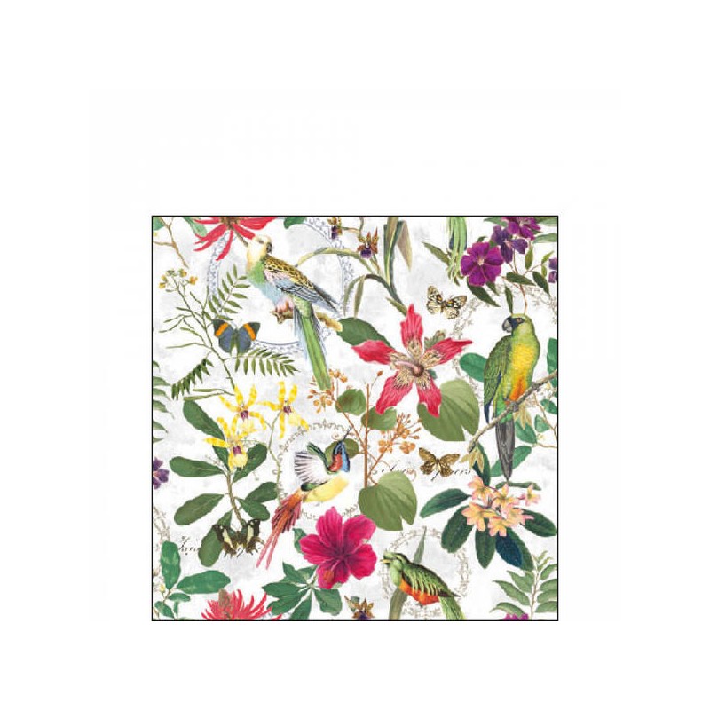 TOVAGLIOLI 25x25 TROPICAL JUNGLE 20pz