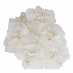 FIORE PEONIA ø7,5cm ECRU' 12pz