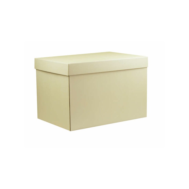 SCATOLA F/COPERCHIO LINEA 1300 49x34x33cm GOFFR. AVORIO PORTATA 12kg