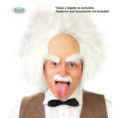 PARRUCCA EINSTEIN