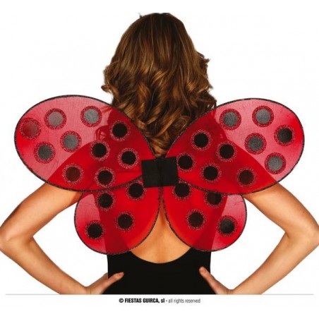 ALI COCCINELLA 63x41cm