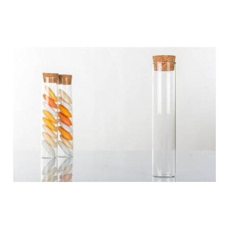 PROVETTA VETRO TAPPO SUGHERO H.12cm 6pz H3072