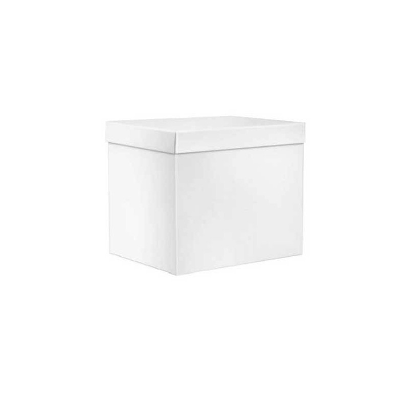 SCATOLA F/COPERCHIO LINEA 1200 38,5x30x33cm BIANCO PERLA PORTATA 10kg