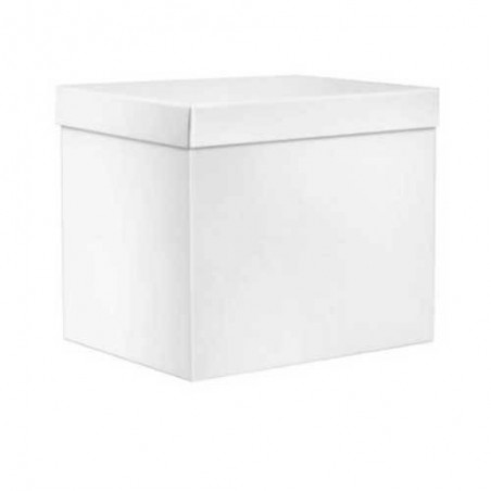 SCATOLA F/COPERCHIO LINEA 1200 38,5x30x33cm BIANCO PERLA PORTATA 10kg