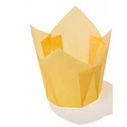 PIROTTINI TULIP 50x50mm H.72mm GIALLO 120pz