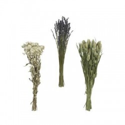 MAZZO FIORE SECCO 55cm 3ASS.TI