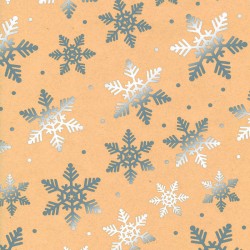 CARTA REGALO METAL KRAFT 70x100cm 5 FOGLI COL.583B