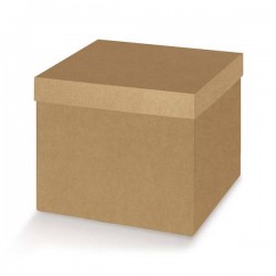 SCATOLA F/COPERCHIO AVANA LISCIA 18x18x4cm 10pz