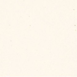 CARTA A4 21x29,7cm FLORA BEIGE gr.130 25fg