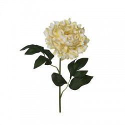 PEONIA SU STELO H.66cm GIALLO/BIANCO 1pz