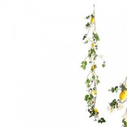 GHIRLANDA LIMONI 170cm