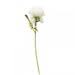 FIORE PEONIA C/STELO 50cm BIANCO