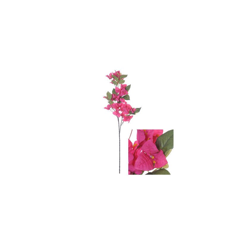 STELO BOUGAINVILLEA FUCSIA 76cm