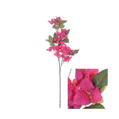 STELO BOUGAINVILLEA FUCSIA 76cm