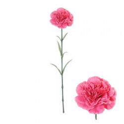 FIORE DI GAROFANO S/STELO 57cm ROSA