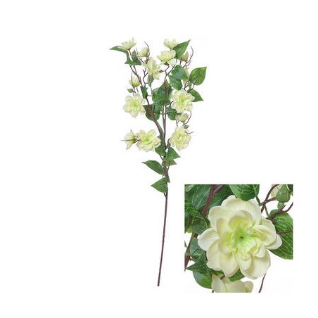 FIORE MUCUNA BIRDWOODIANA C/STELO 72cm BIANCO
