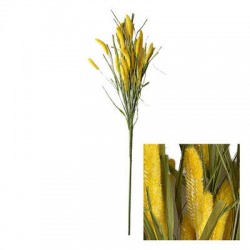 FIORE SETARIA S/STELO 70cm GIALLO
