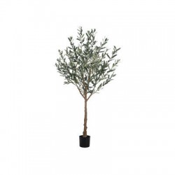 PIANTA ULIVO 180cm