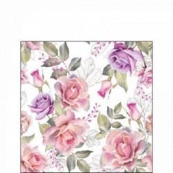 TOVAGLIOLI 25x25 JOSEPHINE 20pz