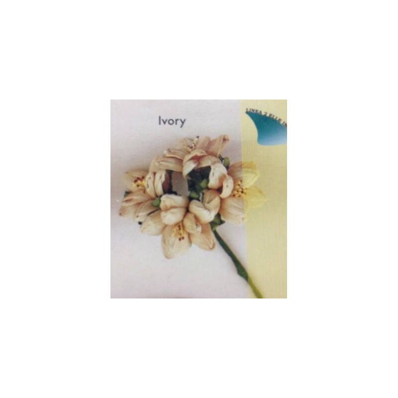 FIORE ROSA MAIS GRANDE AVORIO 3cm 6pz