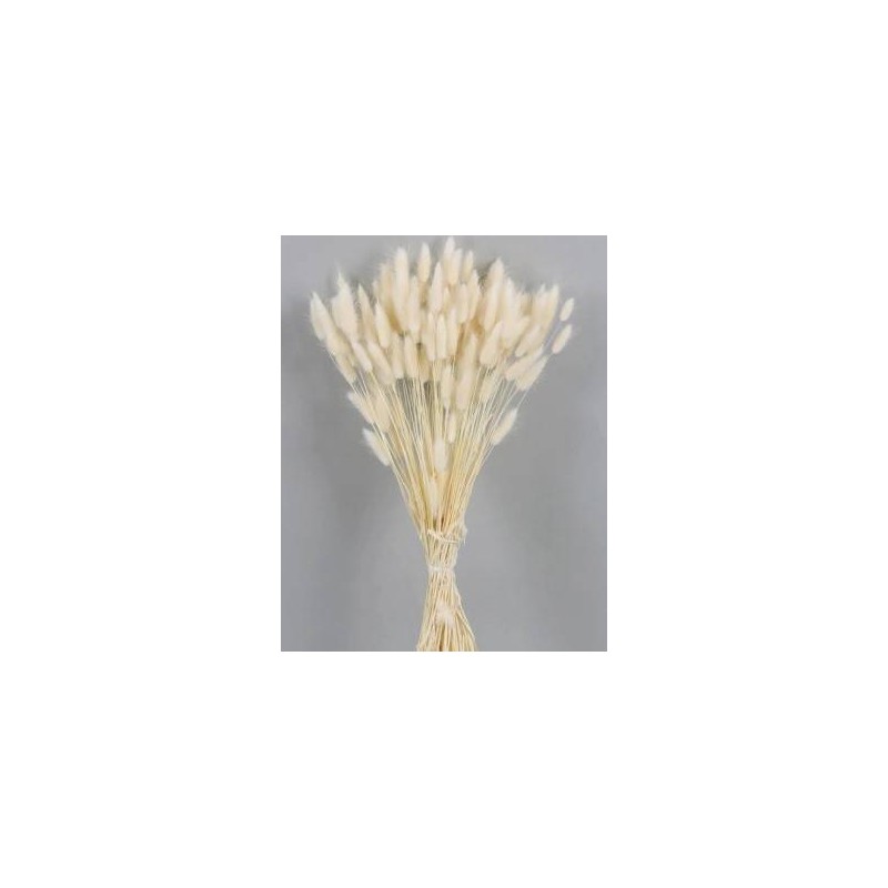 LAGURUS SBIANCATO BUSTA 100gr