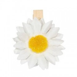 MOLLETTINE ø3,5cm CON GIRASOLE 6pz