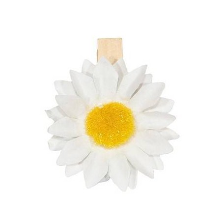 MOLLETTINE ø3,5cm CON GIRASOLE 6pz
